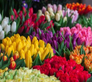 assorted flowers